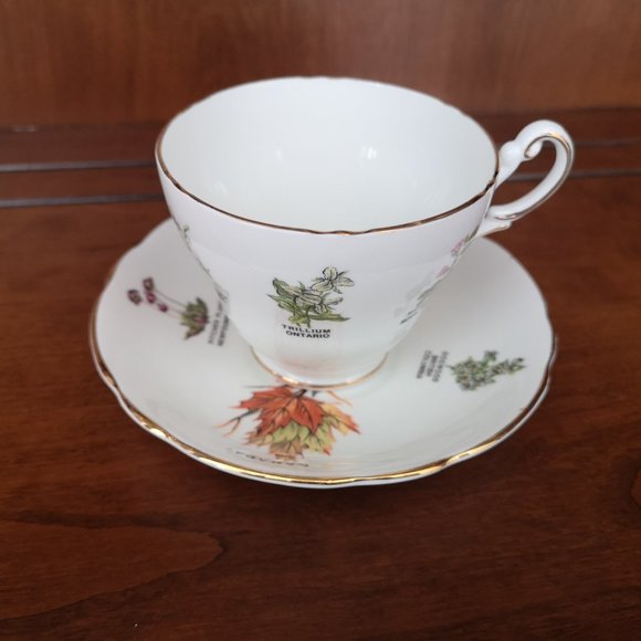 Royal Consort and Royal Darwood Canada related cup&saucer - Picture 8 of 10